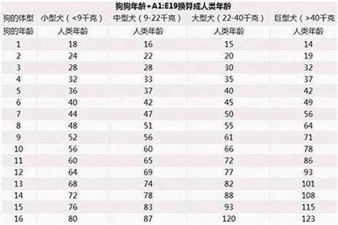 屬狗今年幾多歲|属狗的出生年份表年龄